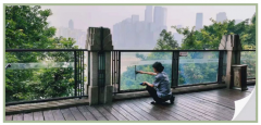 守園區，樹禮儀